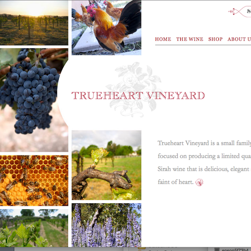 trueheart vineyards image for catanzaro creations