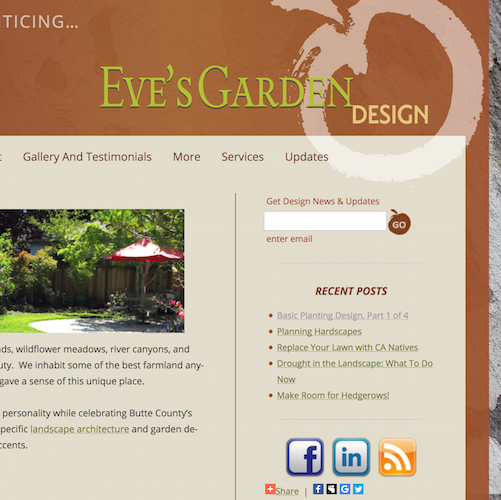 eves garden design