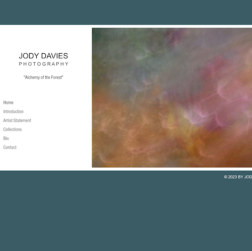 jody davies studio